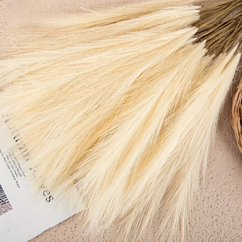 Pampas Grass Stems for Vases