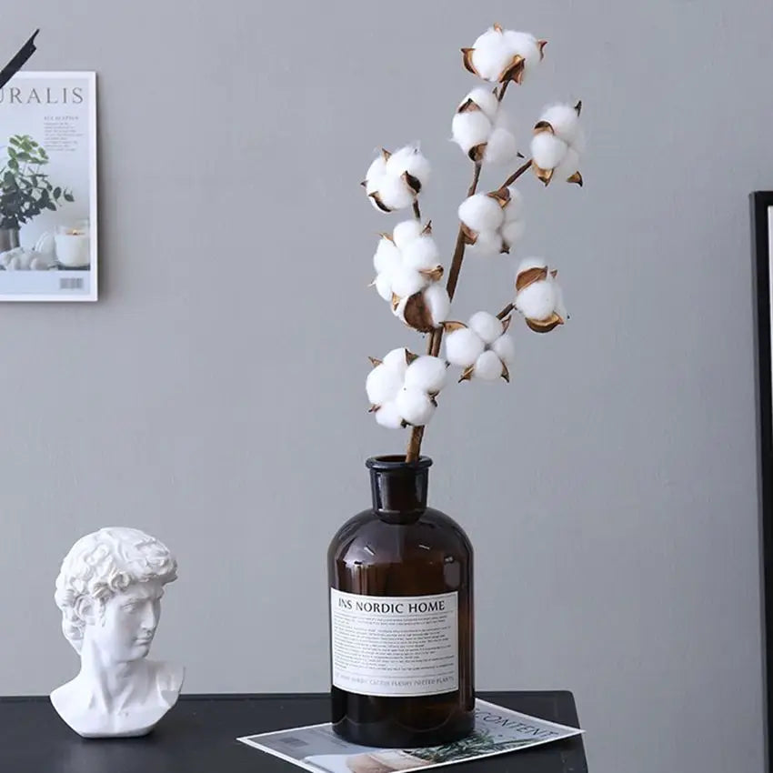 Cotton Boll Stems