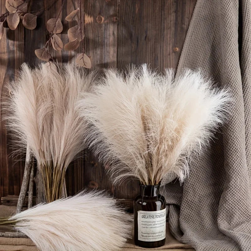 Pampas Grass Stems for Vases