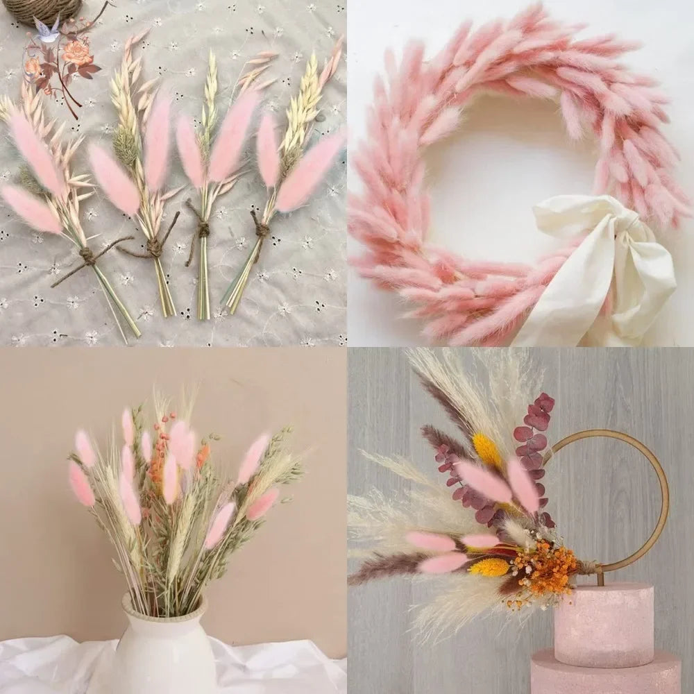 Natural Bunny Tail Grass Stems