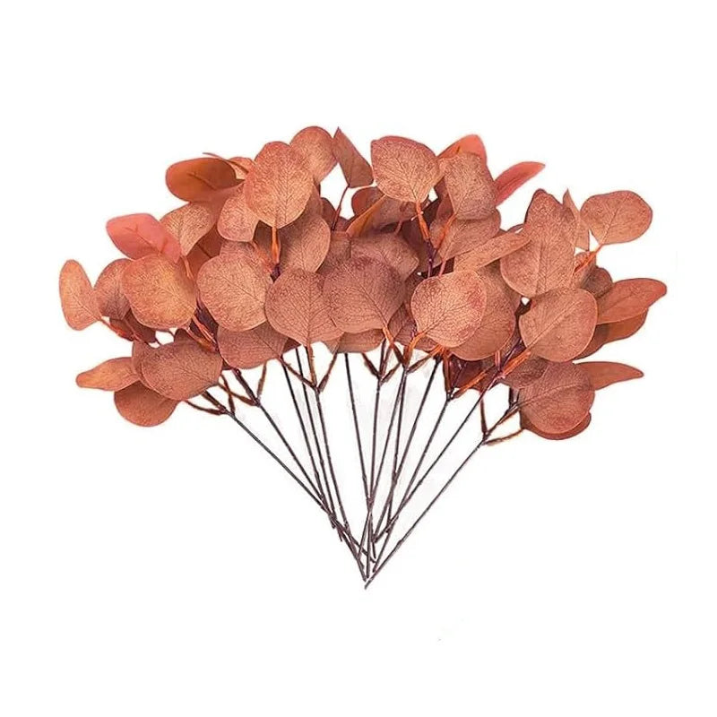 Eucalyptus Leaf Stems