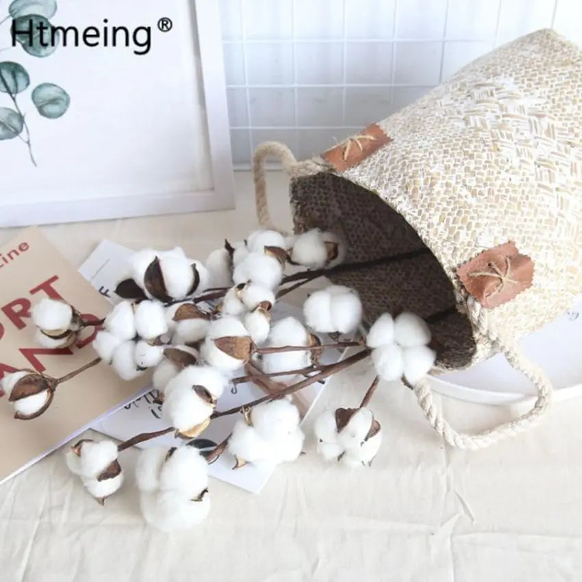 Cotton Boll Stems
