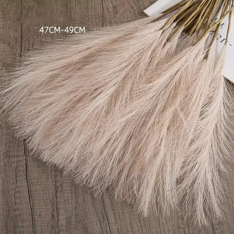 Pampas Grass Stems for Vases