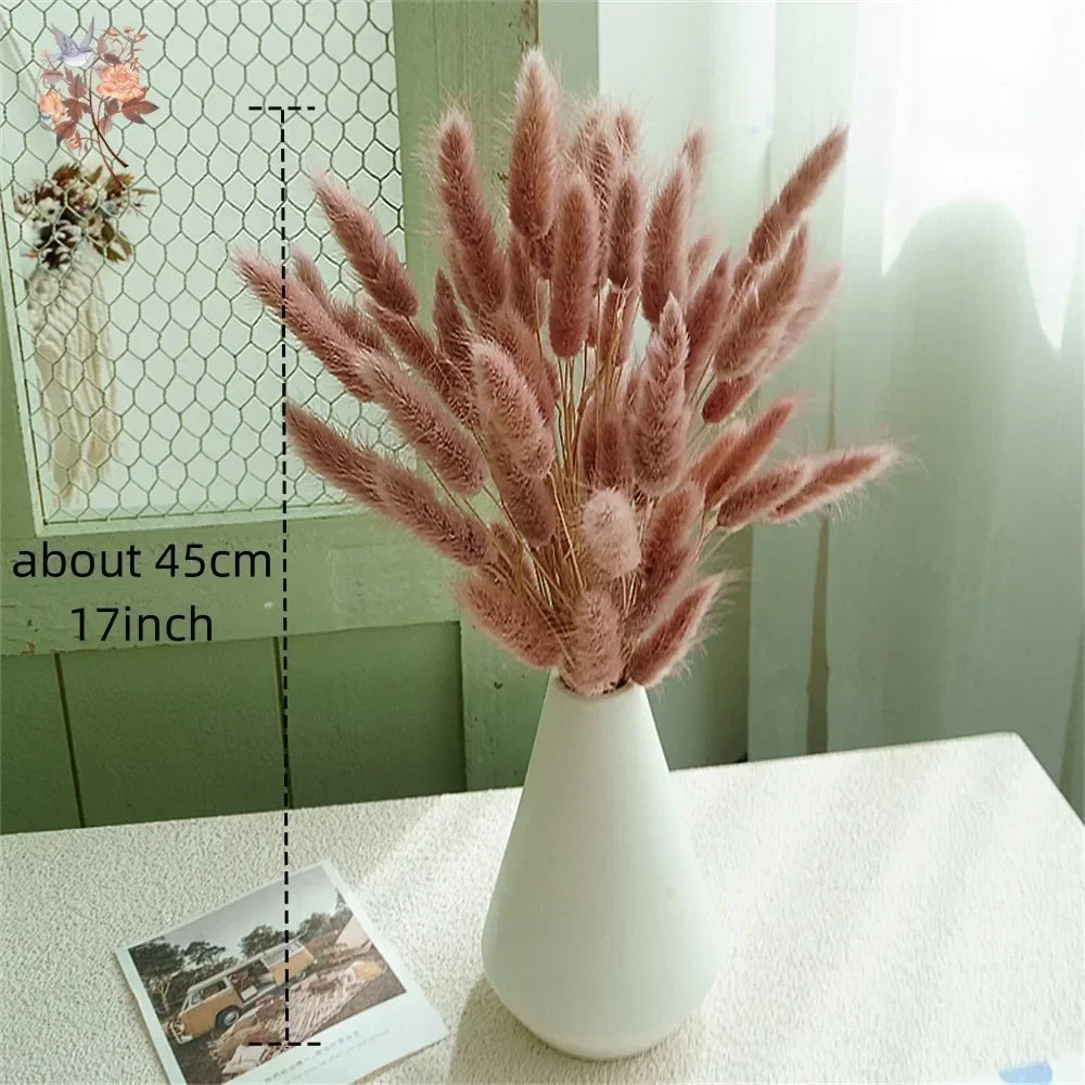 Natural Bunny Tail Grass Stems