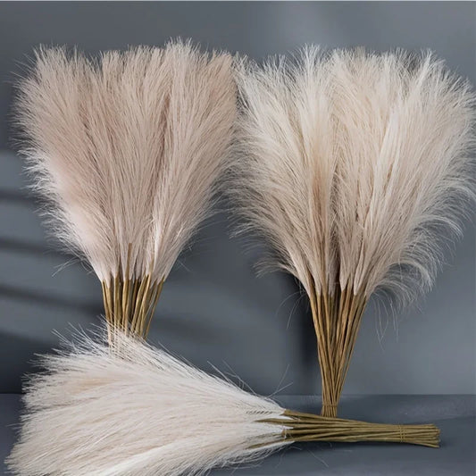 Pampas Grass Stems for Vases