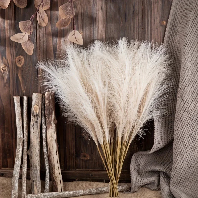 Pampas Grass Stems for Vases