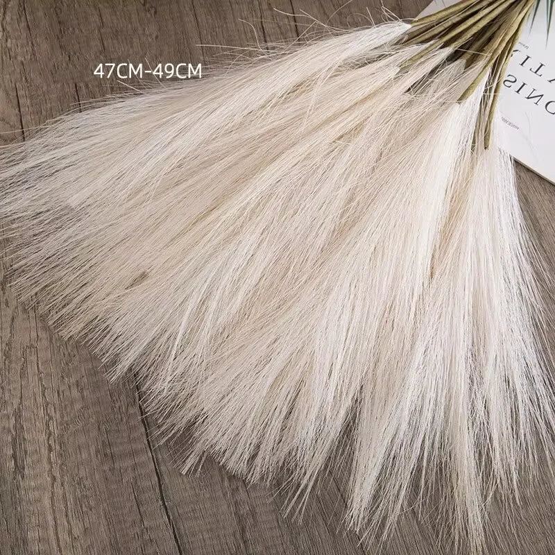 Pampas Grass Stems for Vases
