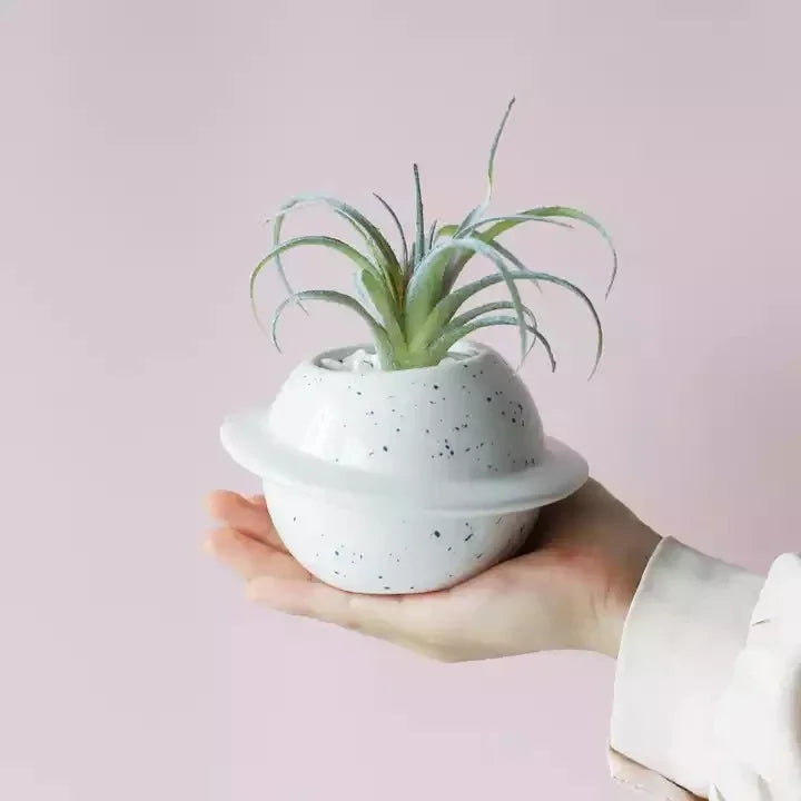 Mini Ceramic Desktop Planter