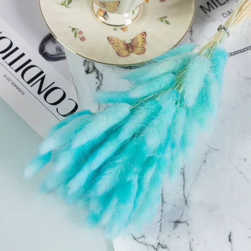 Natural Bunny Tail Grass Stems