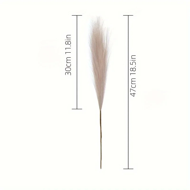 Pampas Grass Stems for Vases