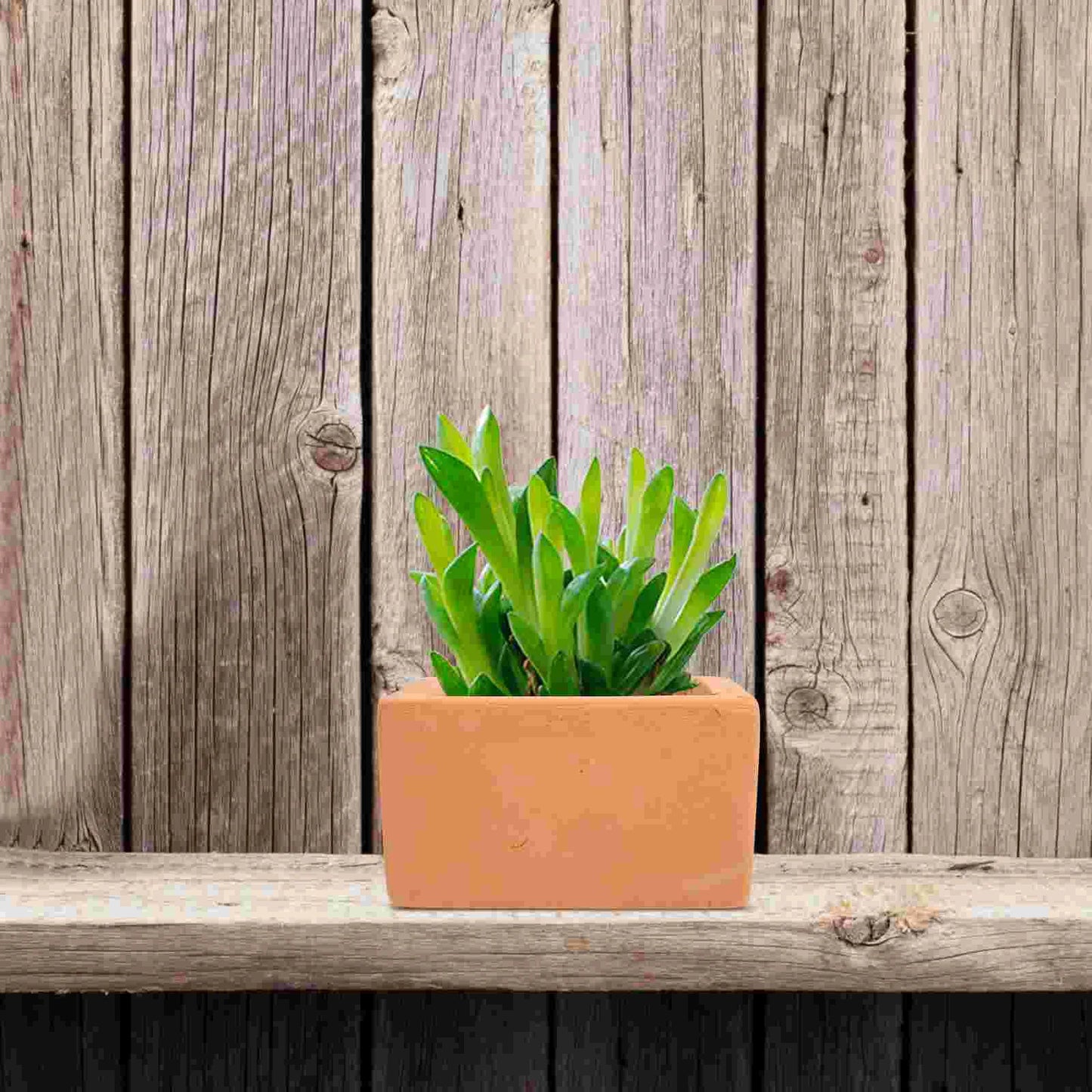 Square Terracotta Plant Pot Set