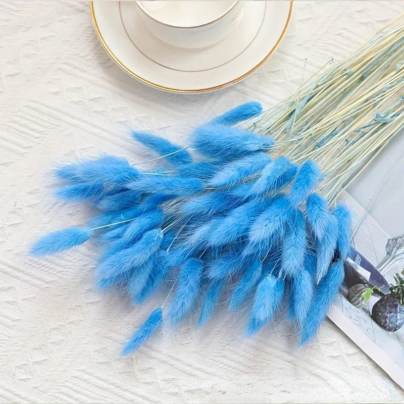Natural Bunny Tail Grass Stems