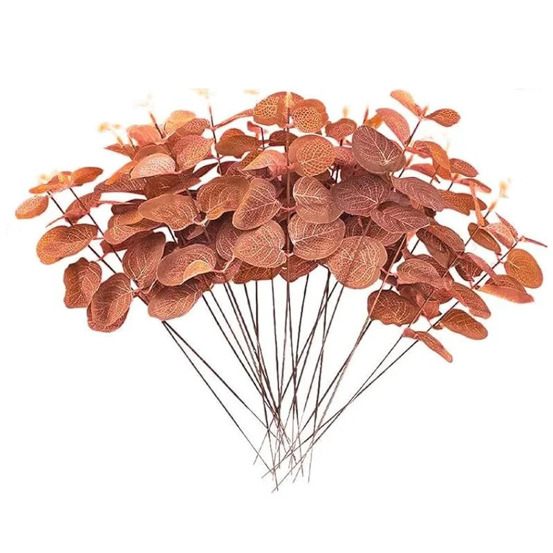 Eucalyptus Leaf Stems