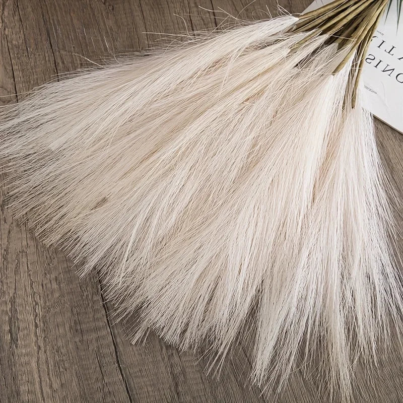 Pampas Grass Stems for Vases