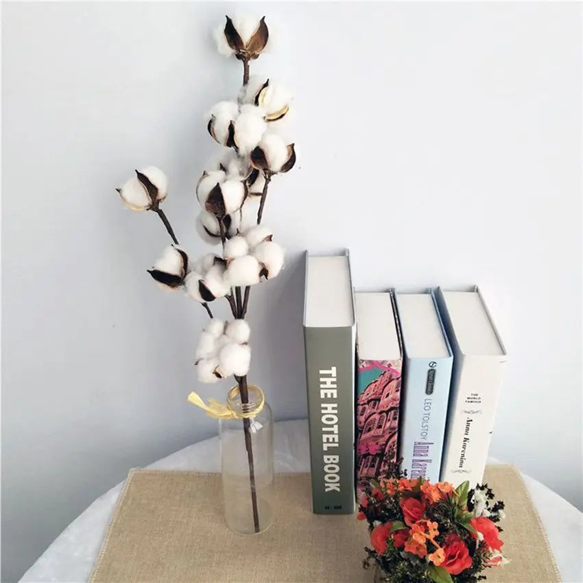 Cotton Boll Stems