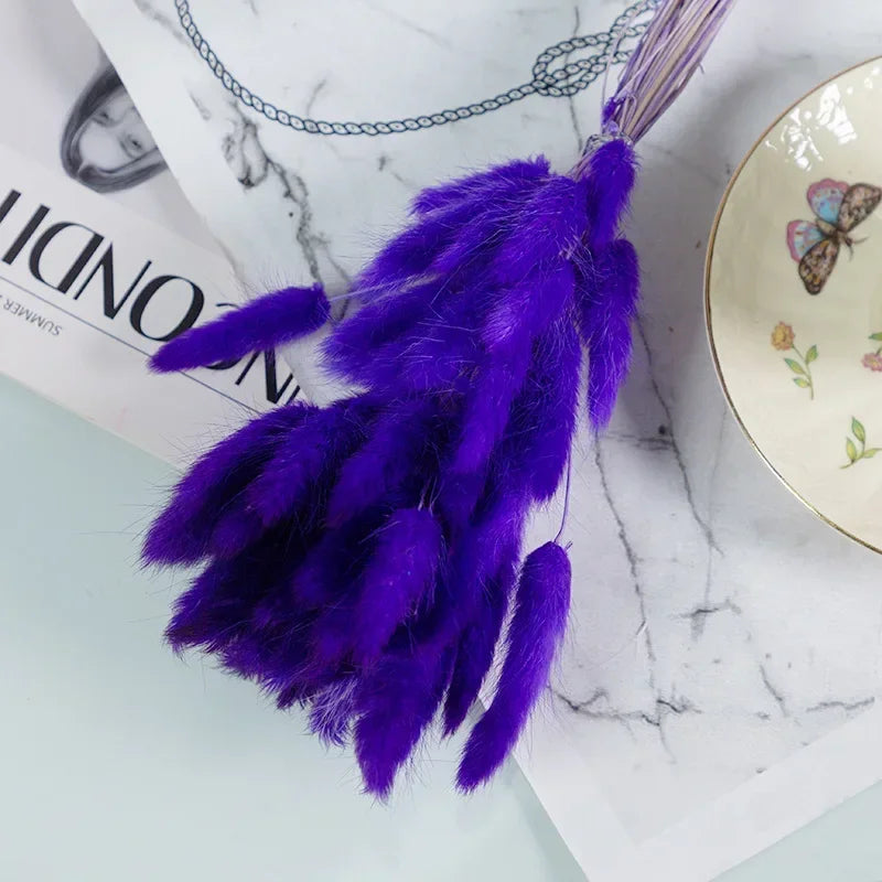 Natural Bunny Tail Grass Stems