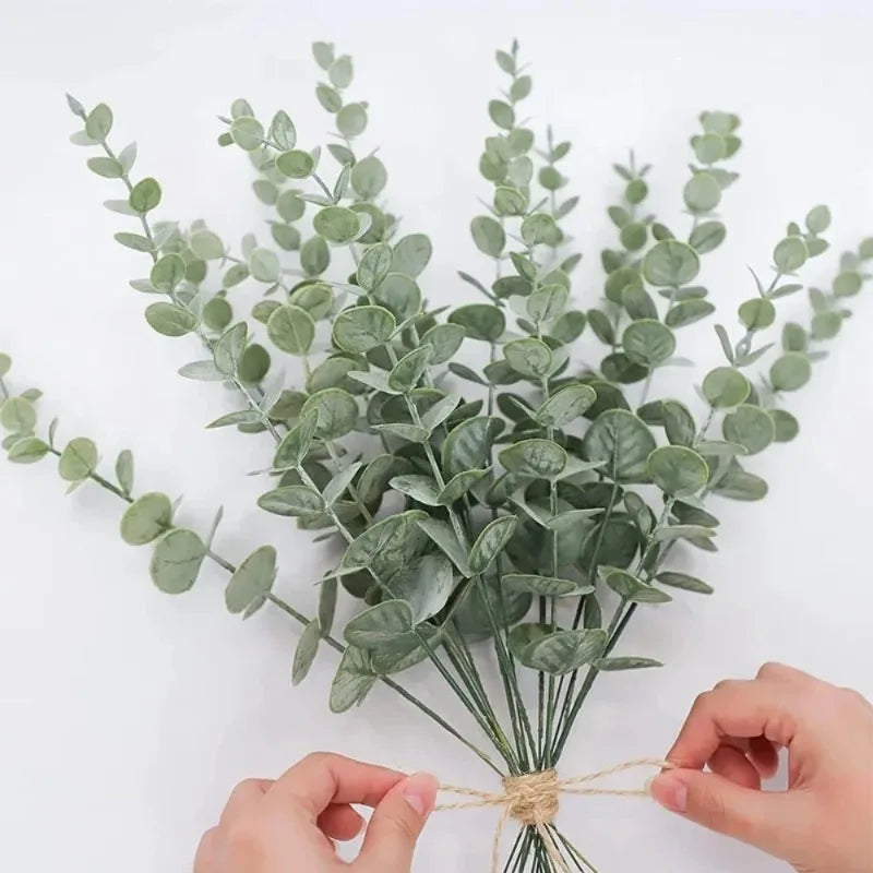 Eucalyptus Leaf Stems