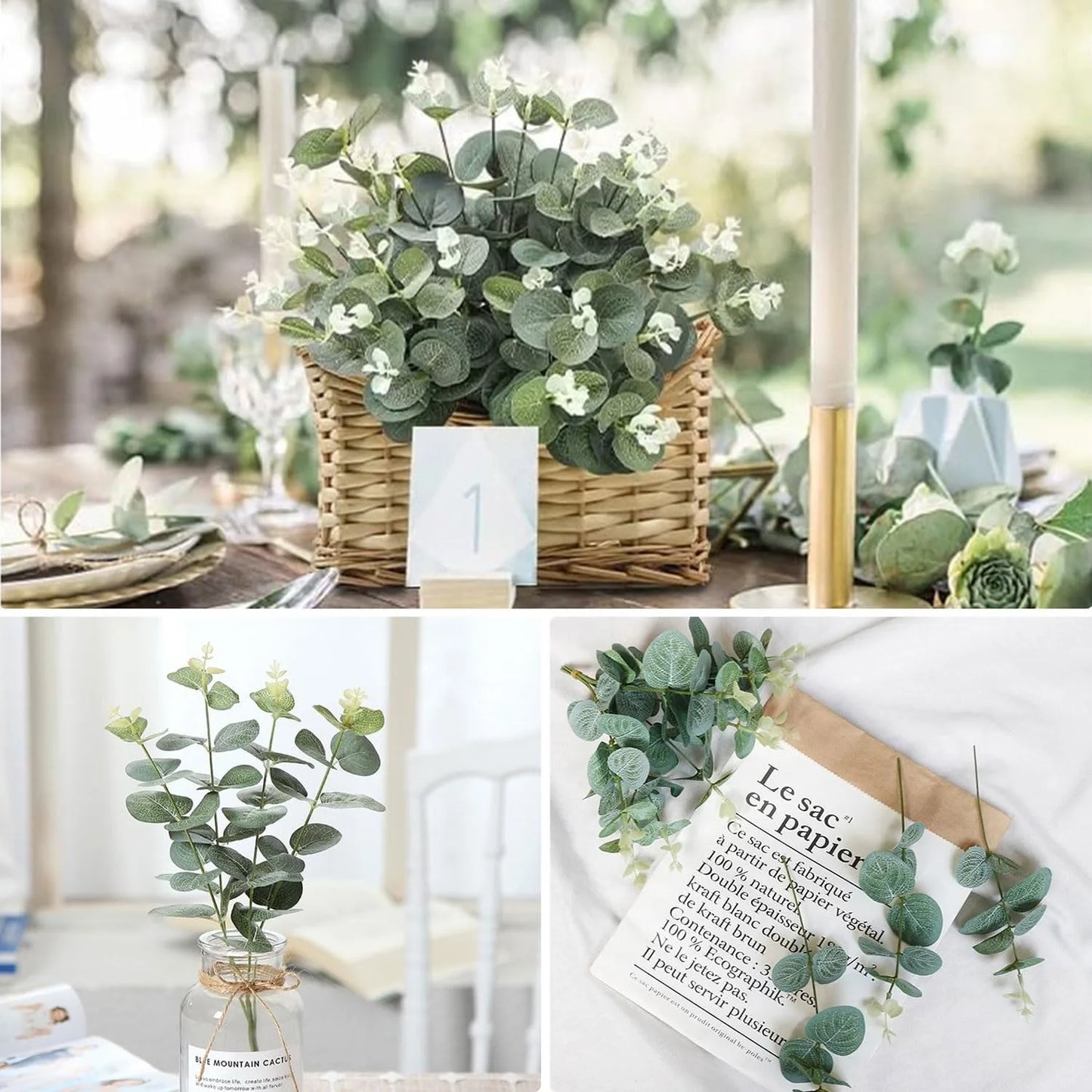 Eucalyptus Leaf Stems